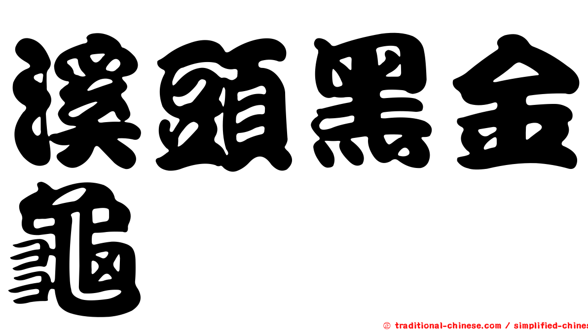 溪頭黑金龜