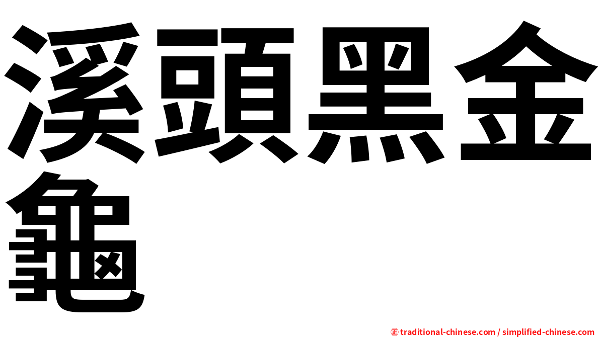 溪頭黑金龜