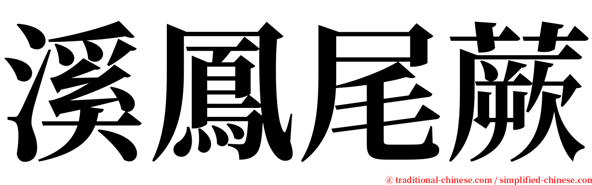 溪鳳尾蕨 serif font