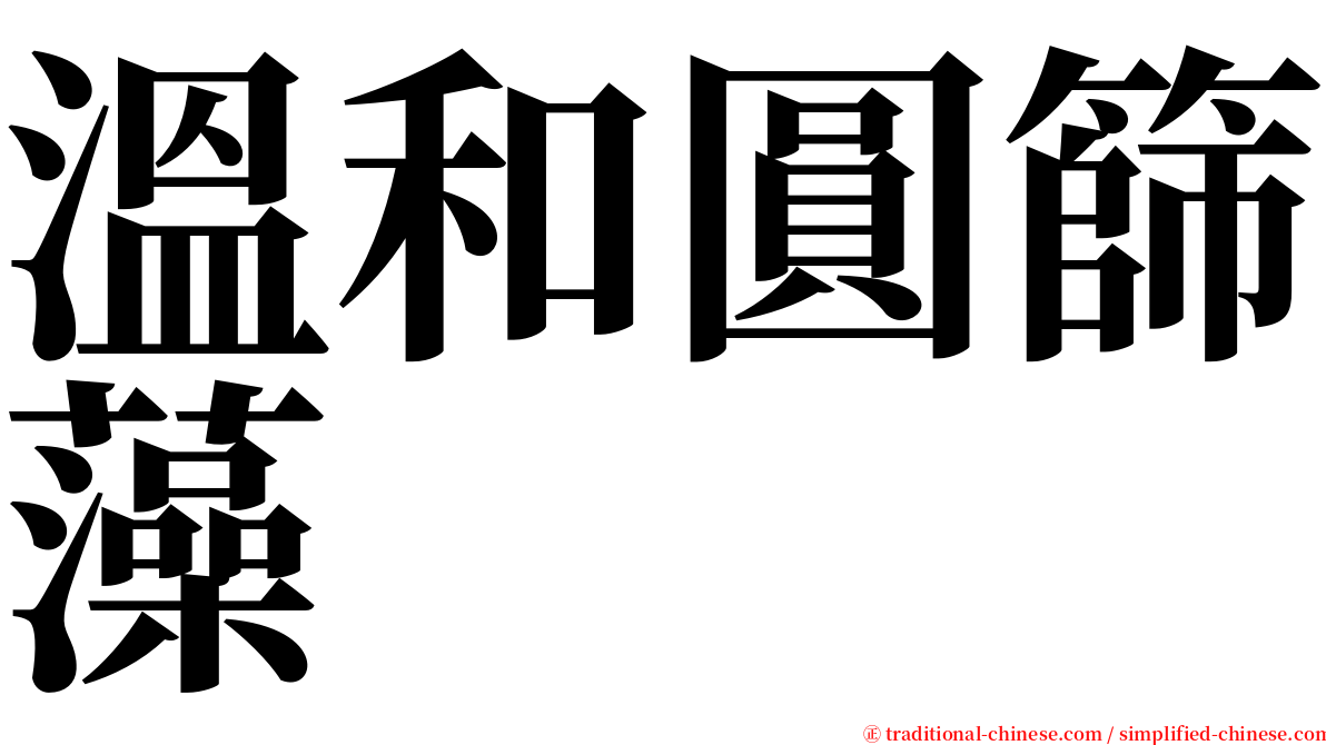 溫和圓篩藻 serif font