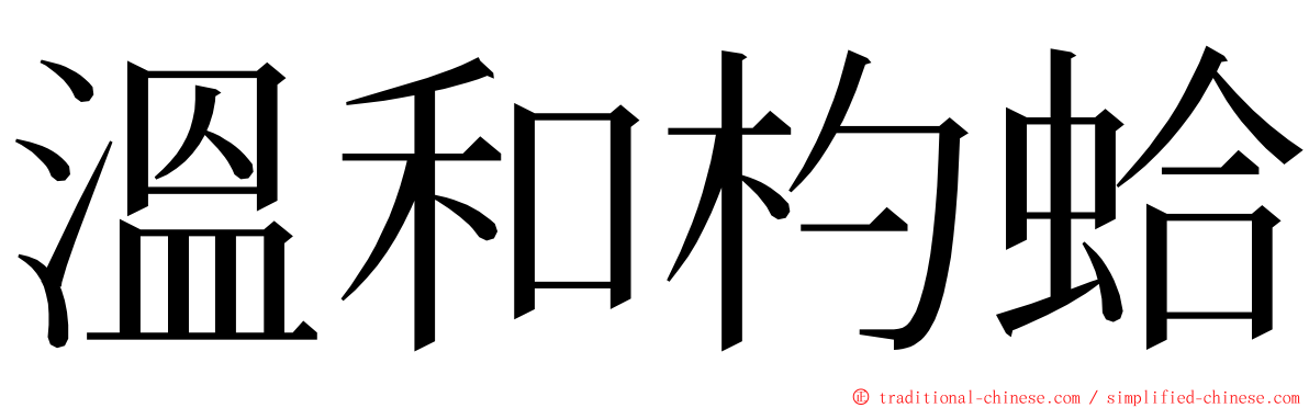 溫和杓蛤 ming font