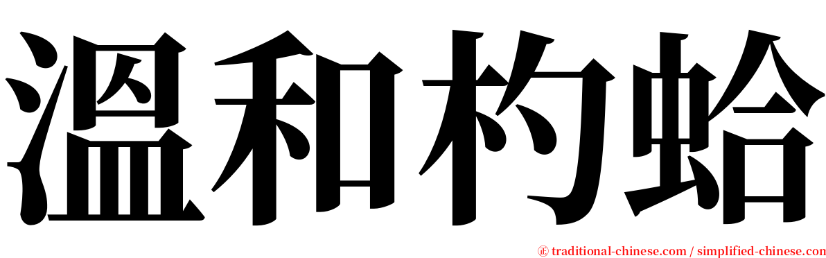 溫和杓蛤 serif font
