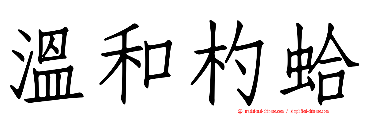 溫和杓蛤