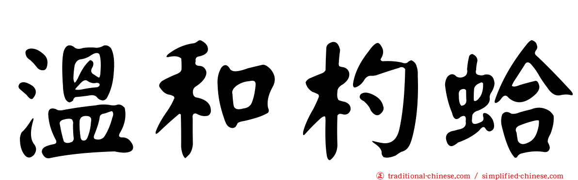 溫和杓蛤