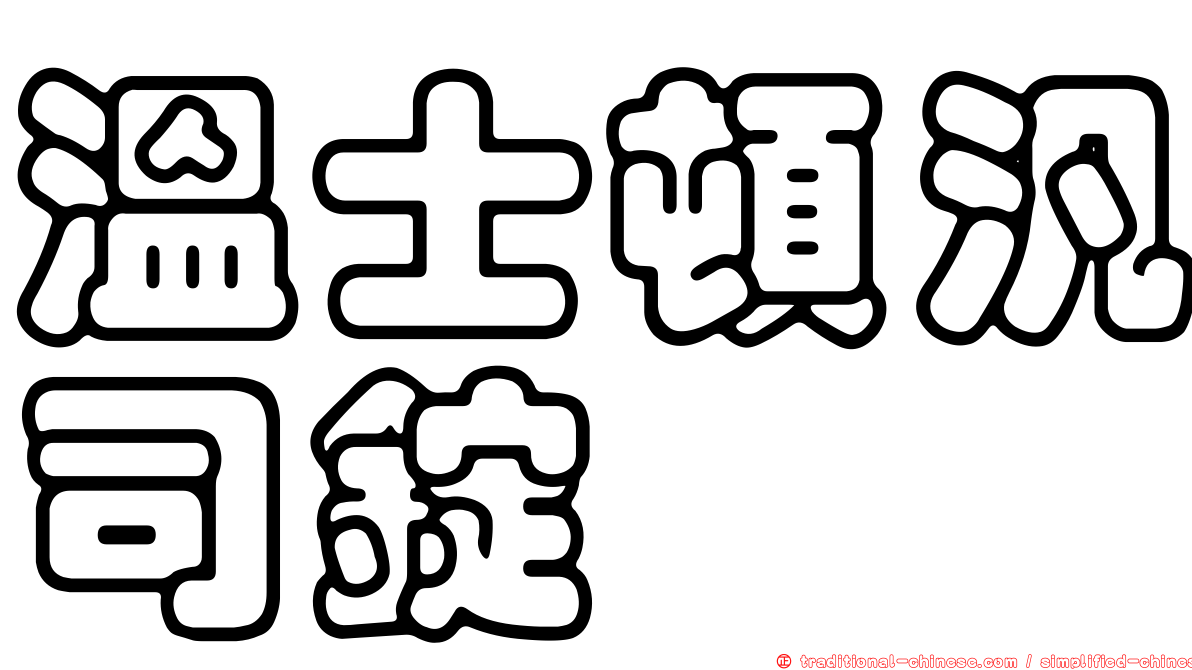 溫士頓汎司錠