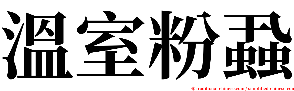 溫室粉蝨 serif font