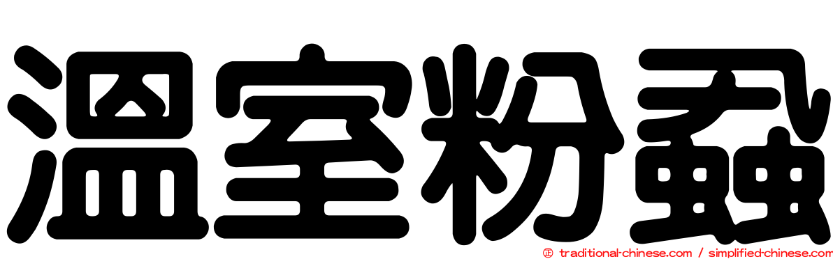 溫室粉蝨