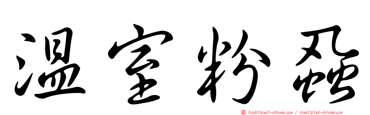 溫室粉蝨