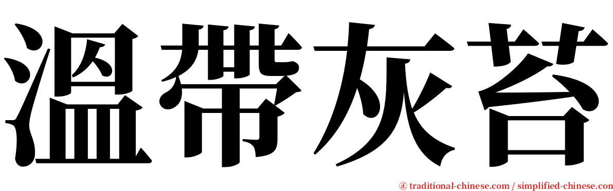 溫帶灰苔 serif font