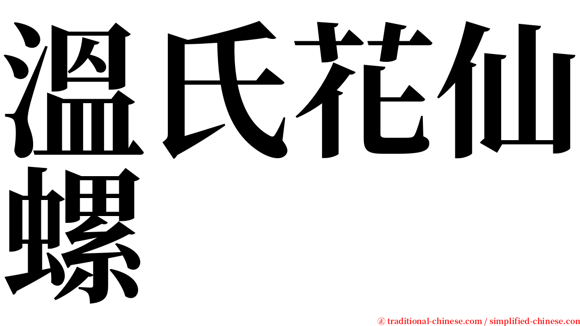 溫氏花仙螺 serif font