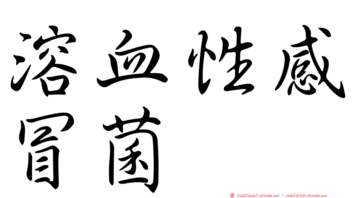 溶血性感冒菌