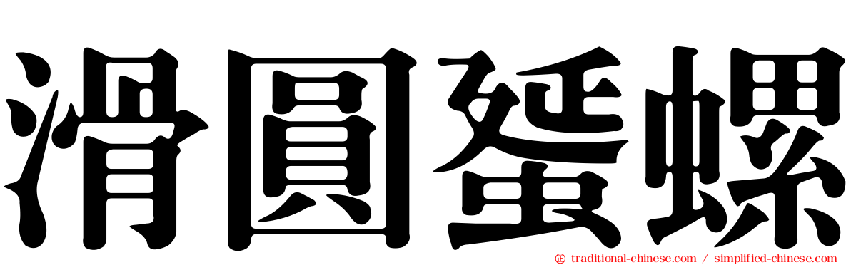 滑圓蜑螺