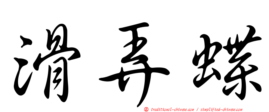 滑弄蝶