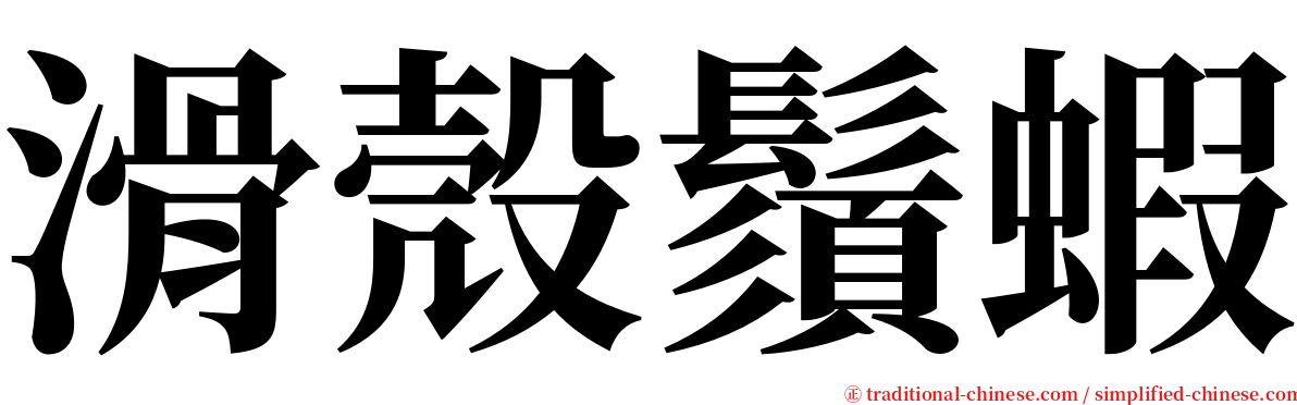 滑殼鬚蝦 serif font