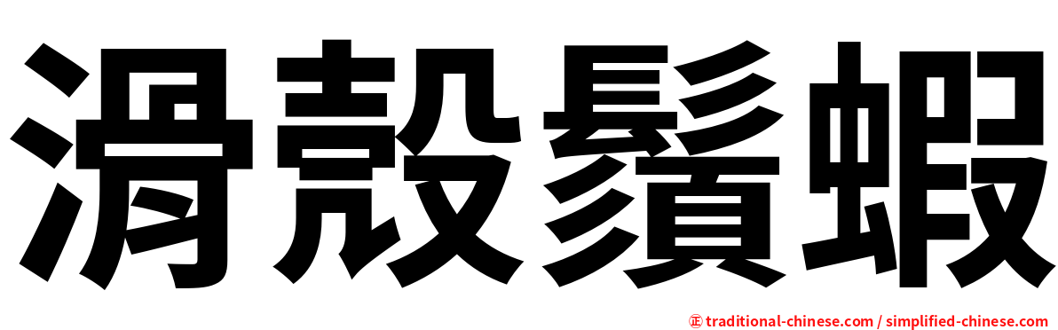 滑殼鬚蝦