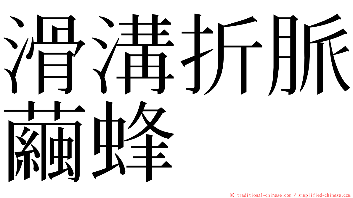 滑溝折脈繭蜂 ming font