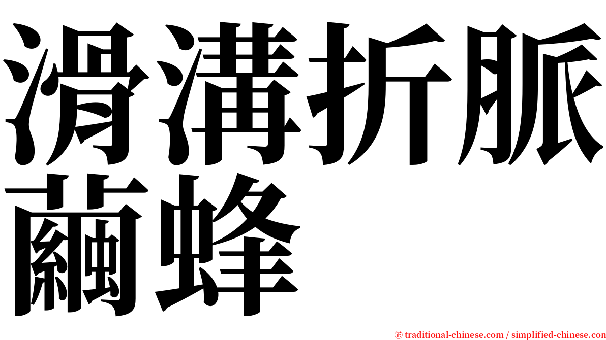 滑溝折脈繭蜂 serif font
