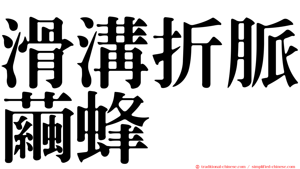 滑溝折脈繭蜂
