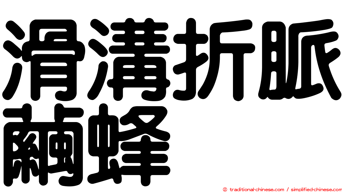 滑溝折脈繭蜂