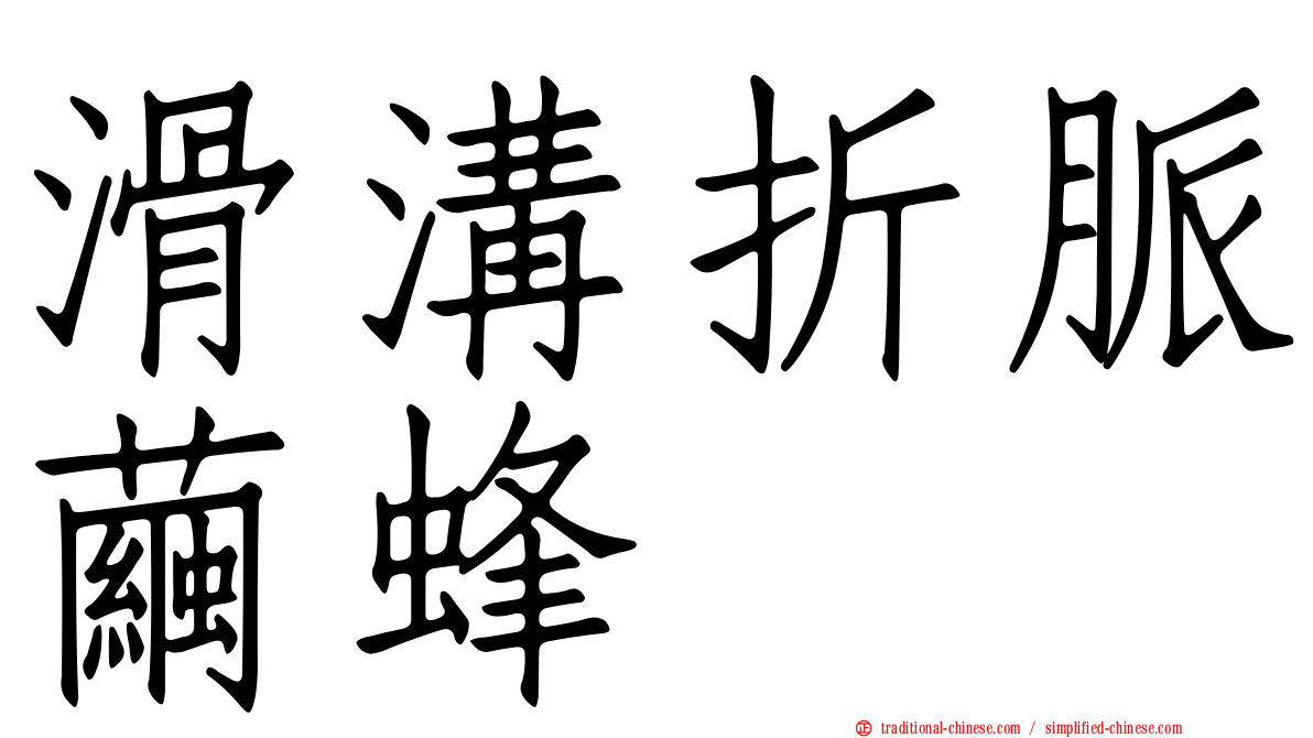 滑溝折脈繭蜂