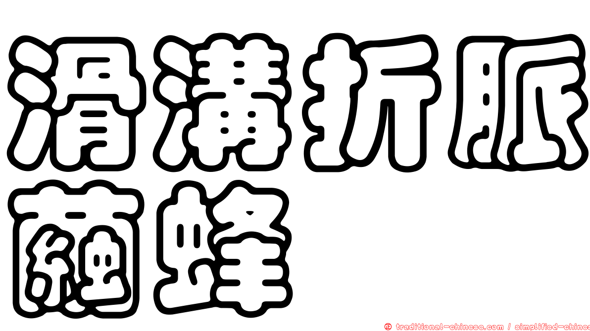 滑溝折脈繭蜂