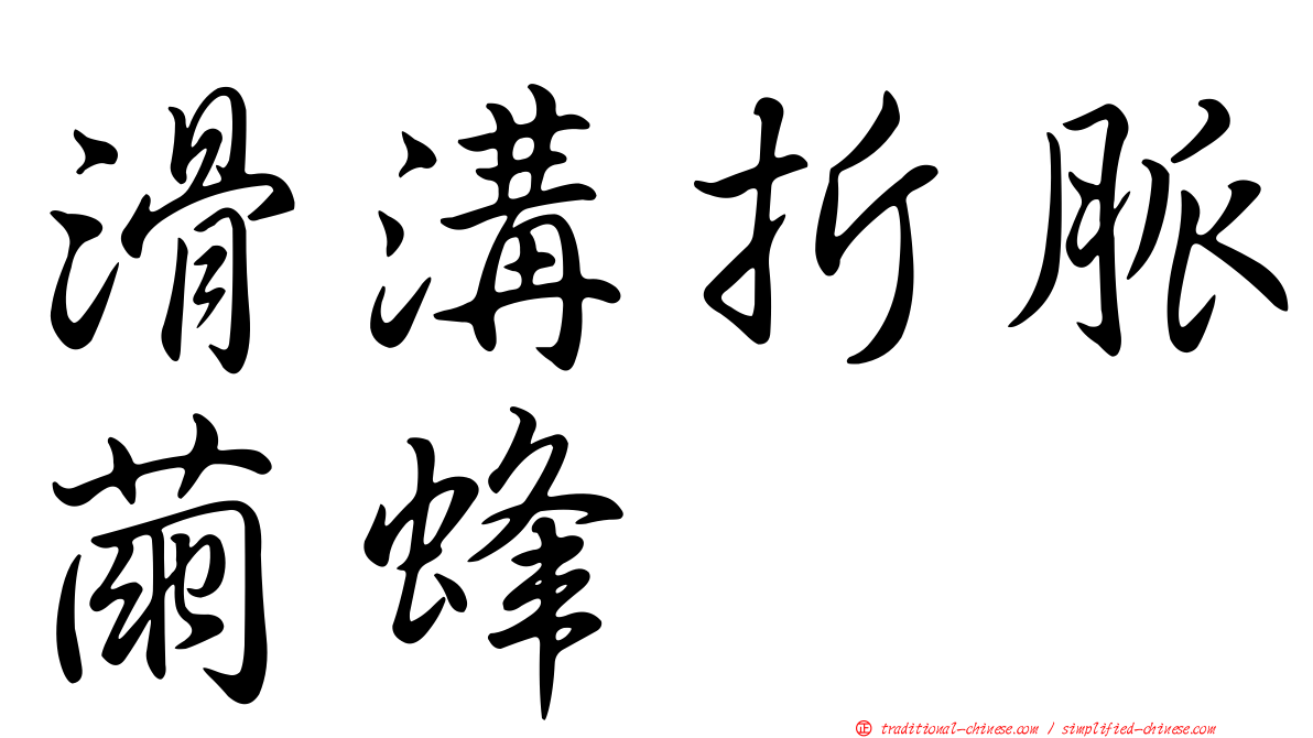 滑溝折脈繭蜂