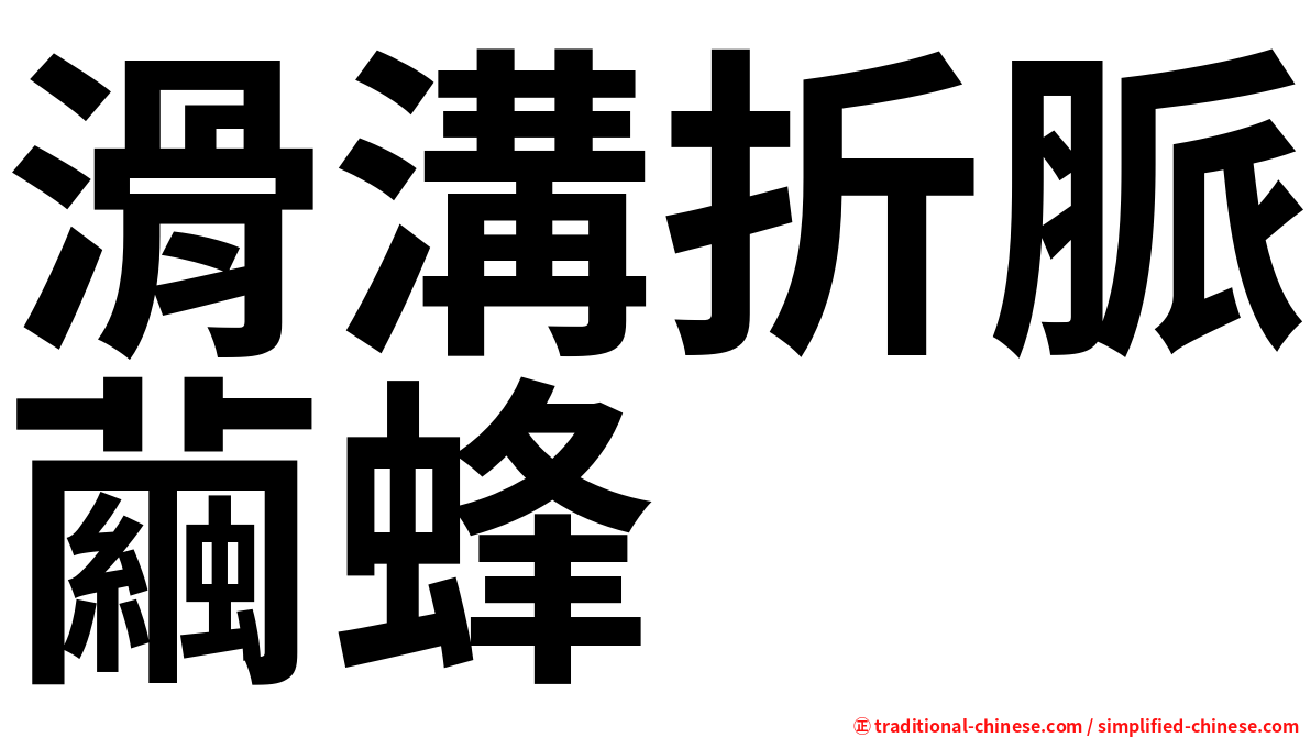 滑溝折脈繭蜂