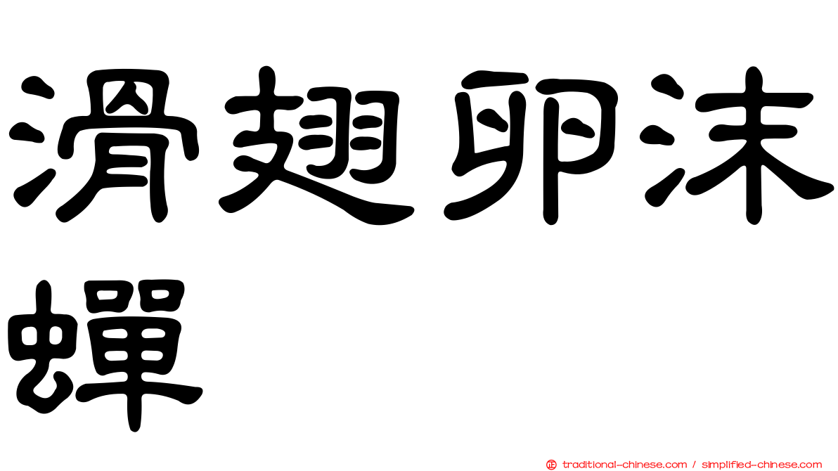 滑翅卵沫蟬