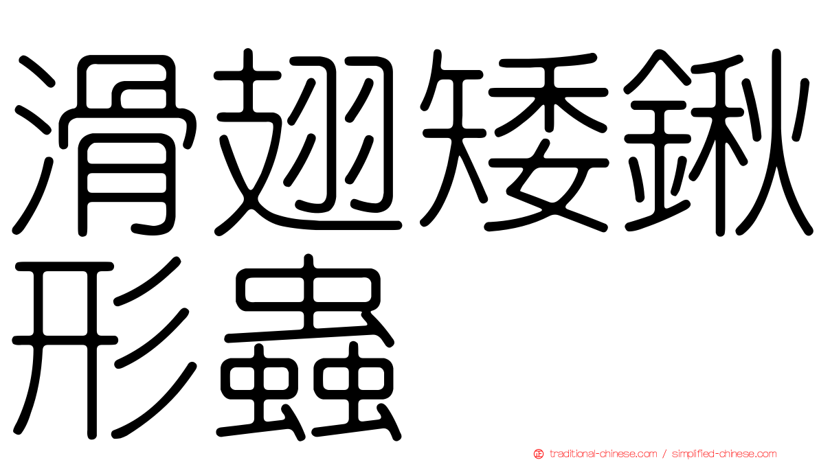 滑翅矮鍬形蟲