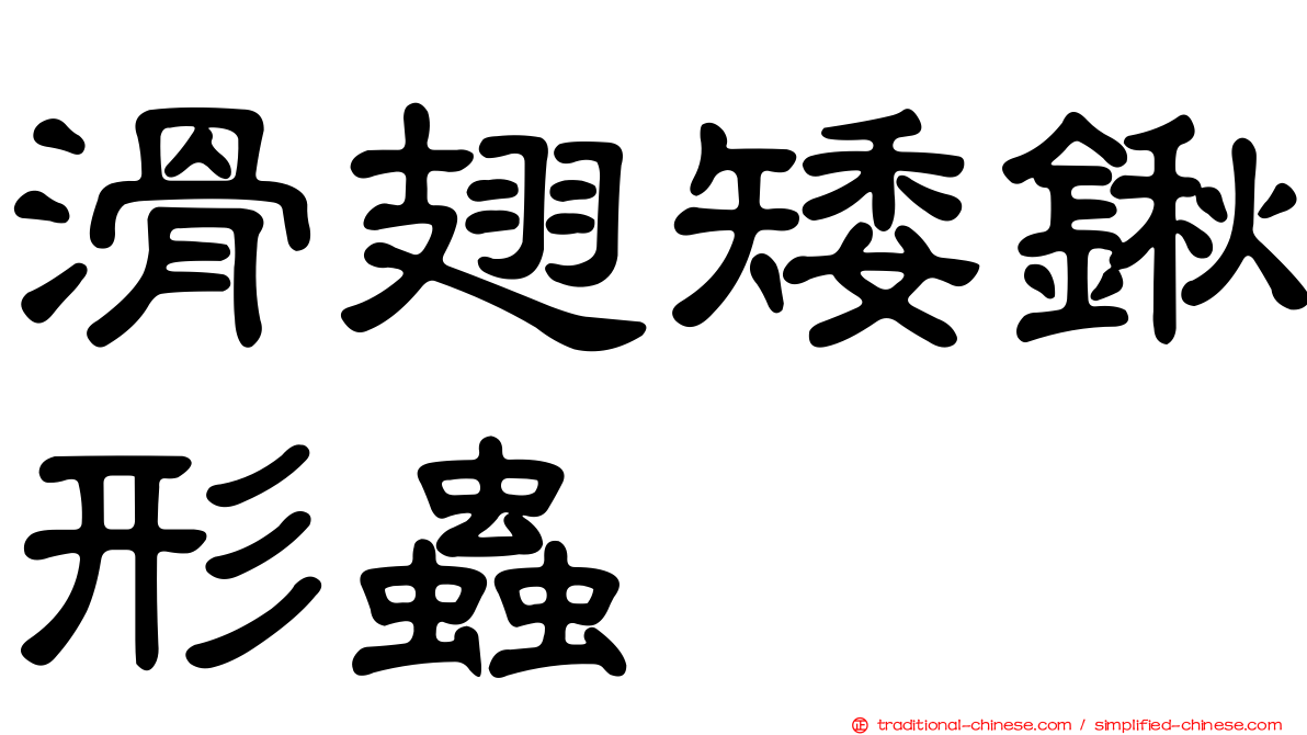 滑翅矮鍬形蟲