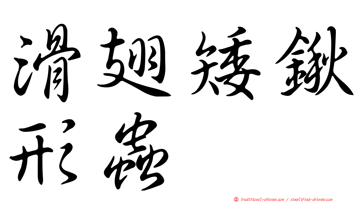 滑翅矮鍬形蟲