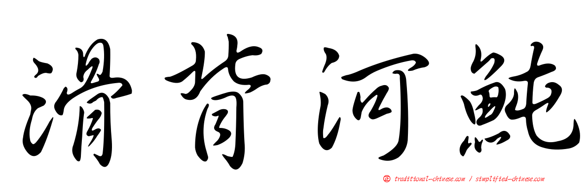 滑背河魨