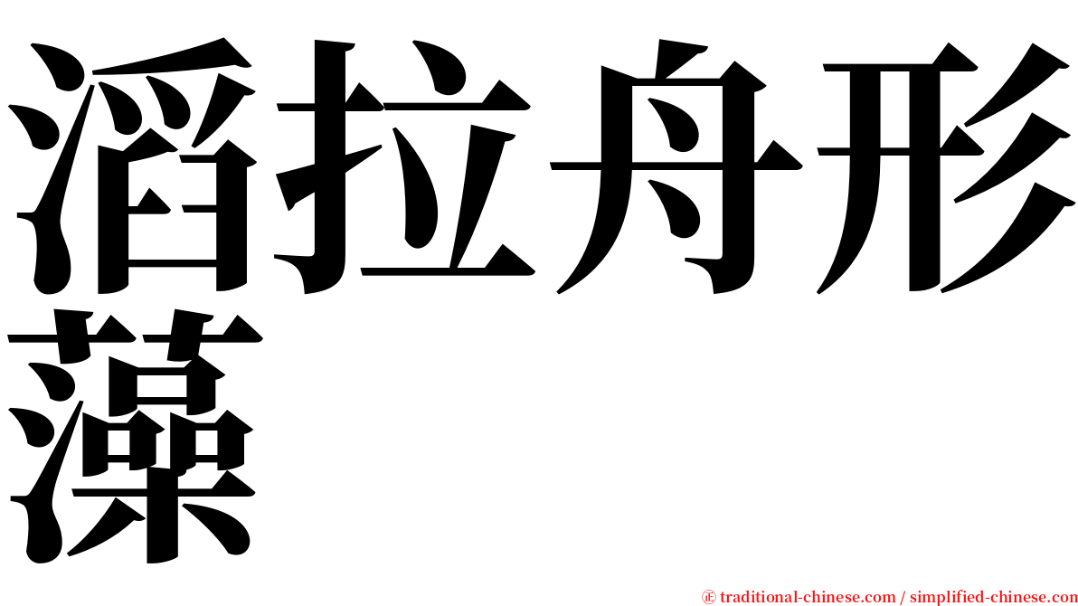 滔拉舟形藻 serif font