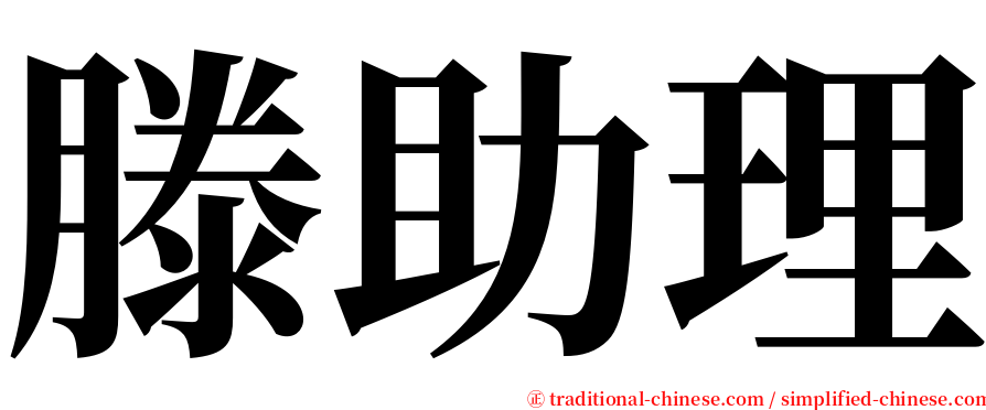 滕助理 serif font