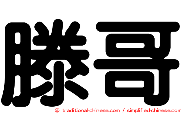 滕哥