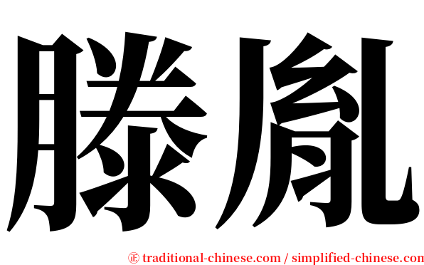 滕胤 serif font