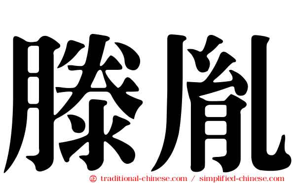 滕胤