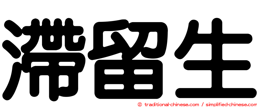 滯留生