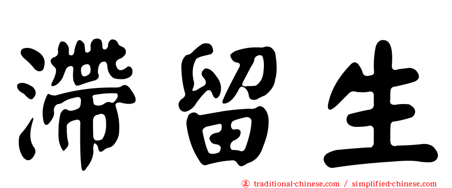 滯留生