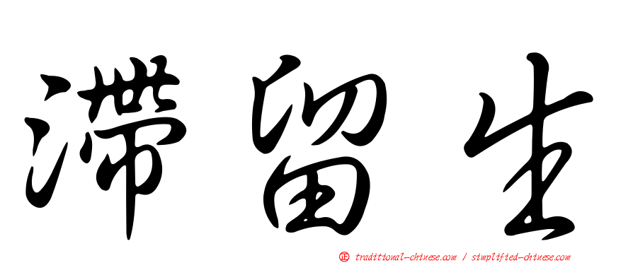 滯留生