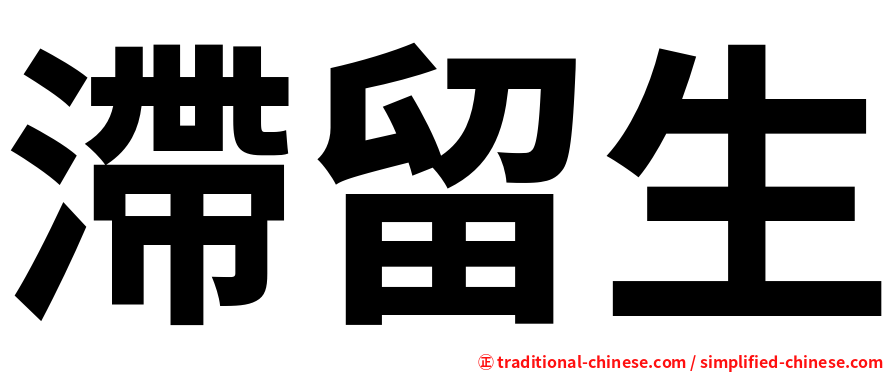 滯留生