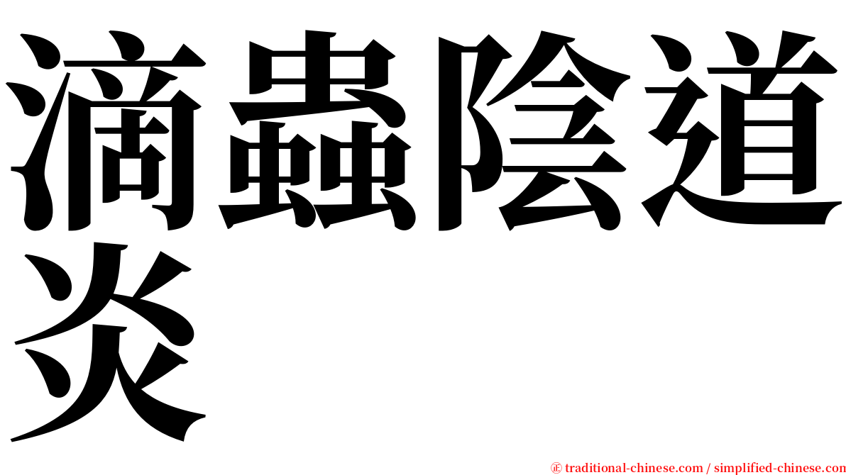 滴蟲陰道炎 serif font