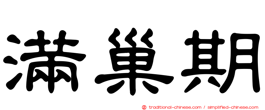 滿巢期