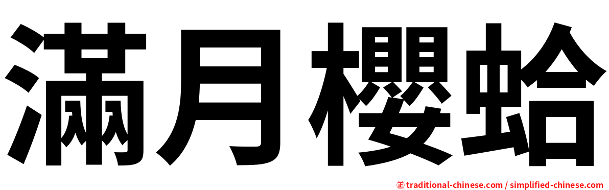 滿月櫻蛤