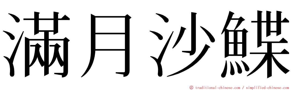 滿月沙鰈 ming font