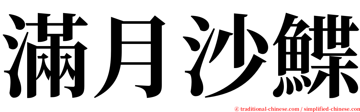滿月沙鰈 serif font