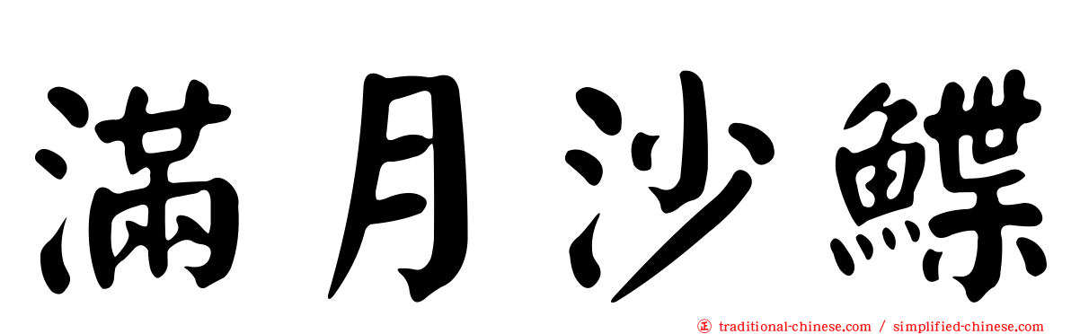 滿月沙鰈