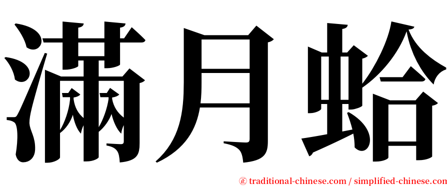 滿月蛤 serif font