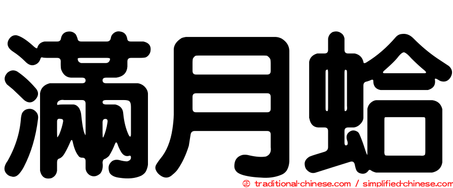 滿月蛤