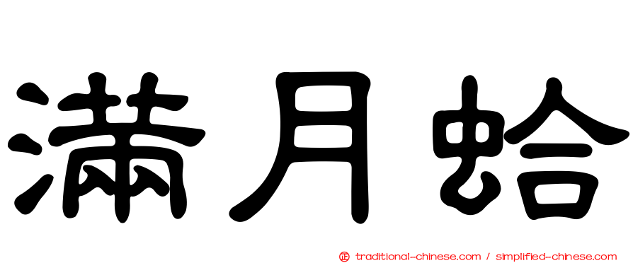 滿月蛤